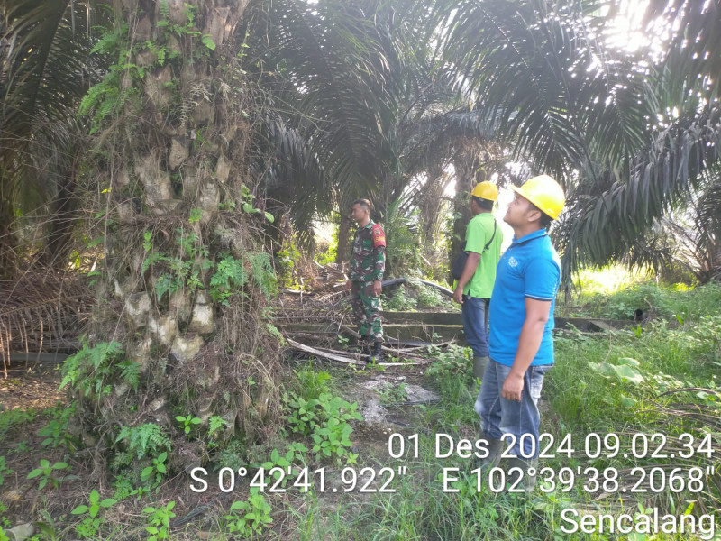 Pencegahan Kebakaran Rutin Dilaksanakan Oleh Babinsa Koramil 09/Kemuning Bersama Warga
