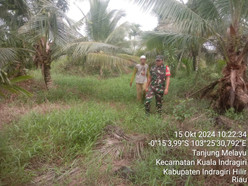 Babinsa Koramil 04/Kuindra Bersama Warga Lakukan Pemantauan Terhadap Lahan dan Hutan Guna Cegah Kebakaran