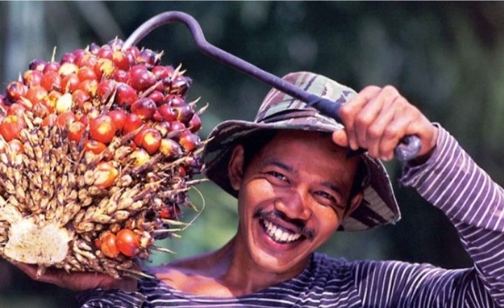 Di Tengah Badai Pandemi Covid-19, Industri Sawit di Riau Makin Joss!