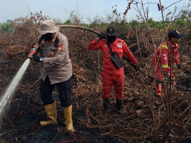 TNI-Polri dan Tim Gabungan Berjibaku Padamkan 10 Hektare Lahan Gambut di Rupat