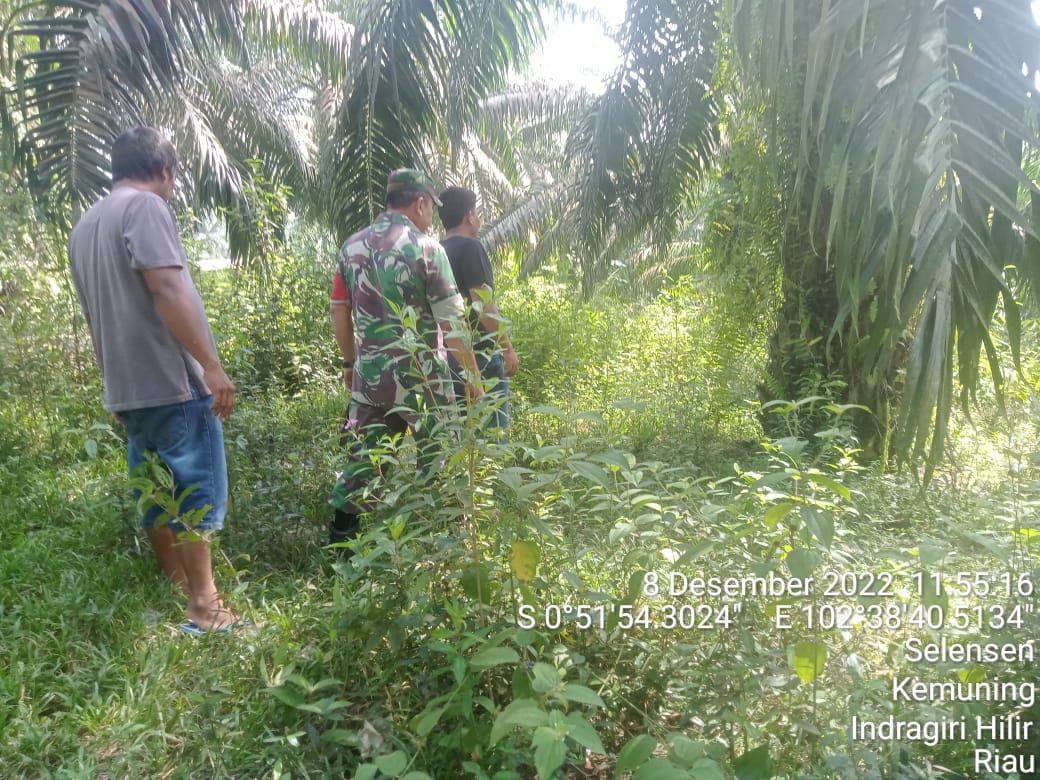 Patroli Karlahut Oleh Babinsa Koramil 09/Kemuning Di Wilayah