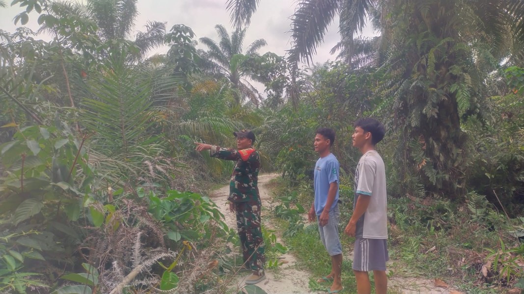 Babinsa Koramil 03/Tpl Laksanakan Patroli Tapal Batas, Pastikan Wilayah Aman dari Titik Api