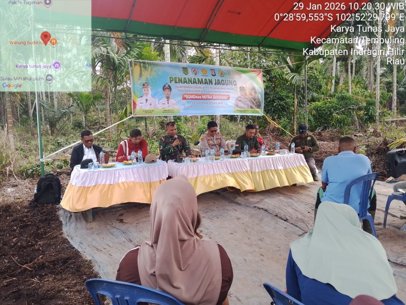 Dukung Swasembada Pangan, Danramil 03/TPL Lettu Arm Muchazzar Hadiri Acara Penanaman Jagung Desa Karya Tunas Jaya