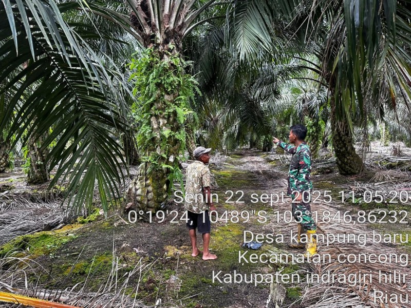 Pratu J. Sembiring Laksanakan Sosialisasi dan Patroli Tapal Batas di Desa Kampung Baru