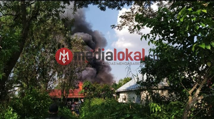 Si Jago Merah Mengamuk di Belakang Kantor DPRD Inhil 