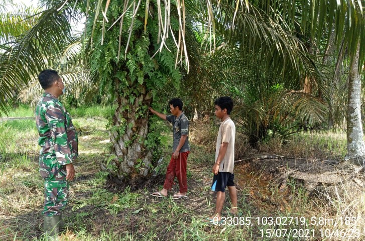 Babinsa Koramil 12/Batang Tuaka Gelar Patroli Agresif Karhutla di Kuala Sebatu 