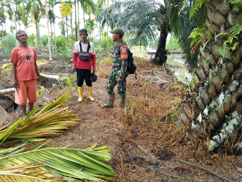 Babinsa Serda Suirwansah: Melindungi dan Mengabdi di Hari Minggu, Patroli dan Sosialisasi Karlahut di Desa Rumbai Jaya