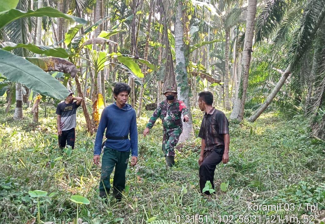 Rutinitas Babinsa Koramil 03/Tpl Bersama Warga Lakukan Patroli Karhutla di Desa Binaan