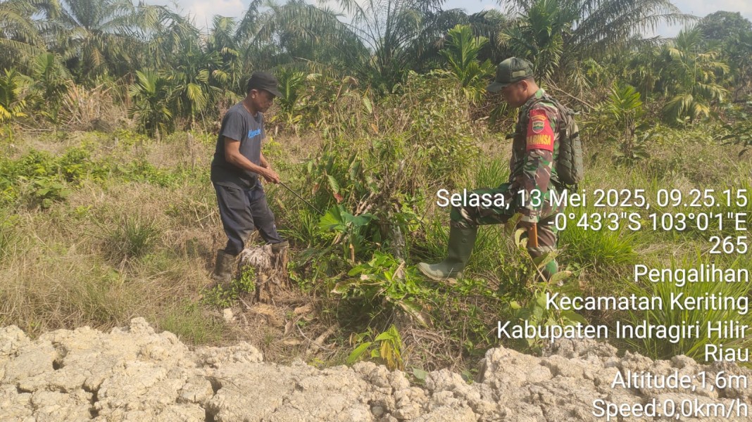 Babinsa Koramil 09/Kemuning Laksanakan Patroli untuk Mencegah Karhutla di Lahan Masyarakat
