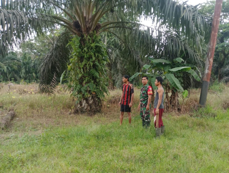 Cegah Karlahut Babinsa Koramil 03/Tpl Terus Patroli dan Sosialisasi di Daerah Rawan