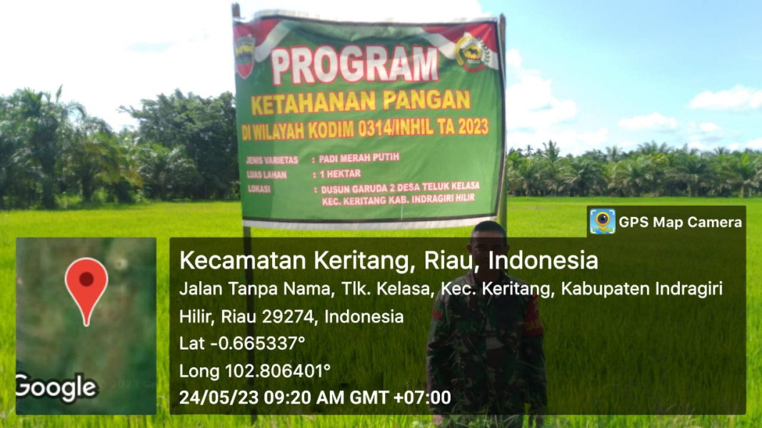 Koramil 09/Kemuning Jaga Pembibitan Padi di Binaan