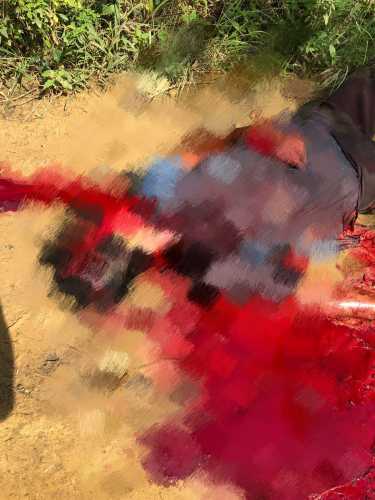 Lehernya Nyaris Putus, Pemanen Sawit di Rohil Tewas Tertebas Egereknya Sendiri