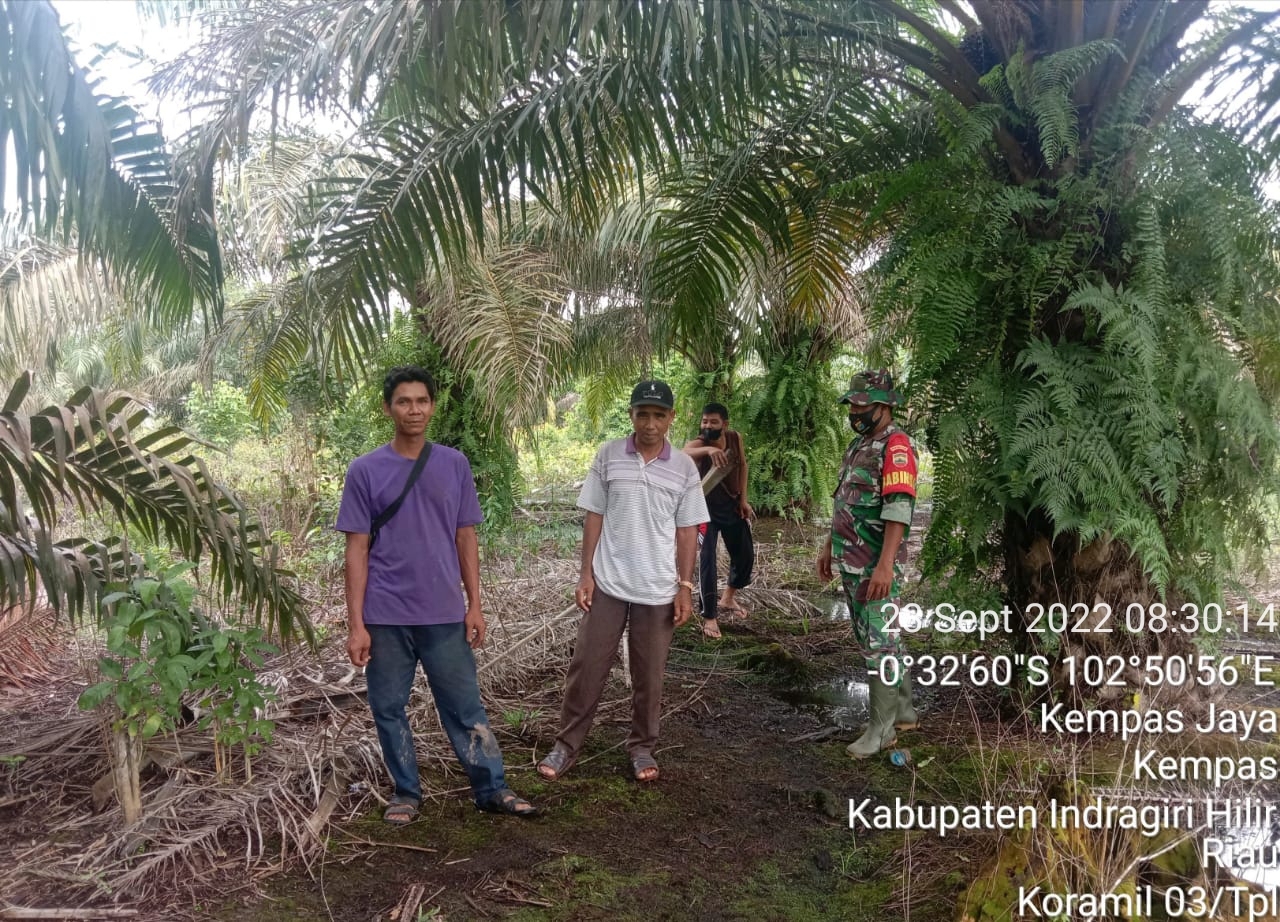 Meskipun Sering Hujan, Babinsa  03/Tempuling Tetap Lakukan Patroli Pencegahan Karhutla Bersama Warga