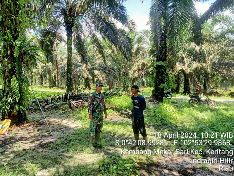 Demi Kenyamanan di Desa, Babinsa Koramil 09/Kmg Lakukan Pencegahan Karlahut