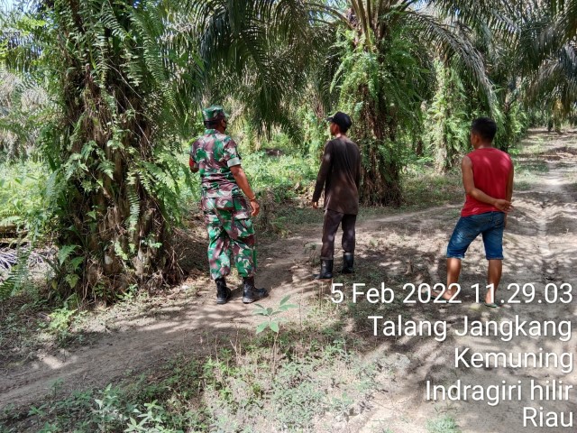 Babinsa Serda Ramadhan Patroli Karhutla di Desa Talang Jangkang