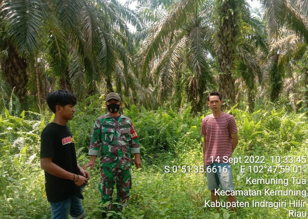 Patroli dan Sosialisasi Karlahut Terus Dilakukan Oleh Babinsa Koramil 09/Kemuning