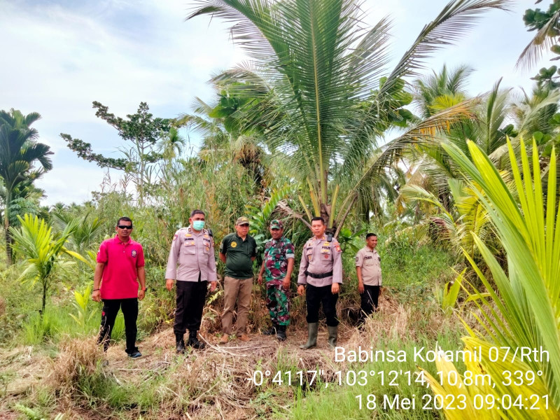 Babinsa Koramil 07/Reteh Turun Lakukan Peninjauan Terhadap Lahan dan Hutan