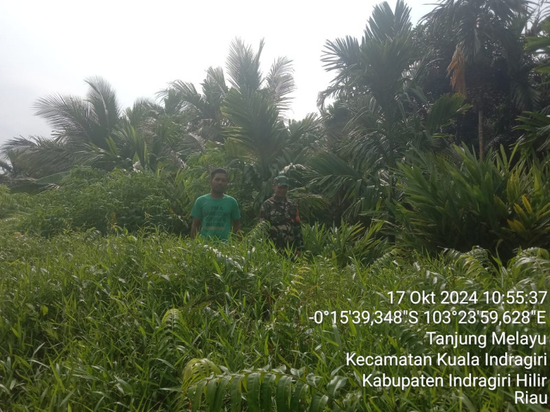 Dengan Patroli Rutin, Babinsa Koramil 04/Kuindra Giat Lakukan Pencegahan Kebakaran Hutan dan Lahan