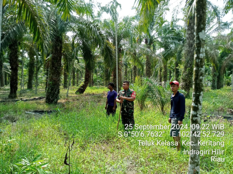 Babinsa Koramil 09/Kemuning Turun Untuk Lakukan Pencegahan Karhutla Demi Kenyamanan Lingkungan