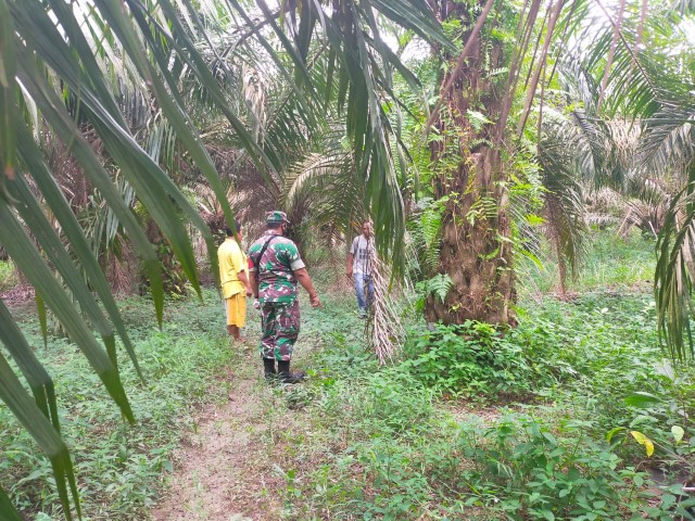 Babinsa Koramil 09/Kemuning Terus Lakukan Patroli dan Sosialisasi Karhutla
