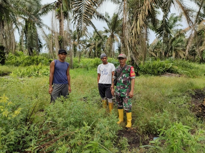 Babinsa Koramil 03/Tempuling Laksanakan Patroli Karhutla di Desa Sungai Gantang, Pastikan Situasi Aman dan Terkendali