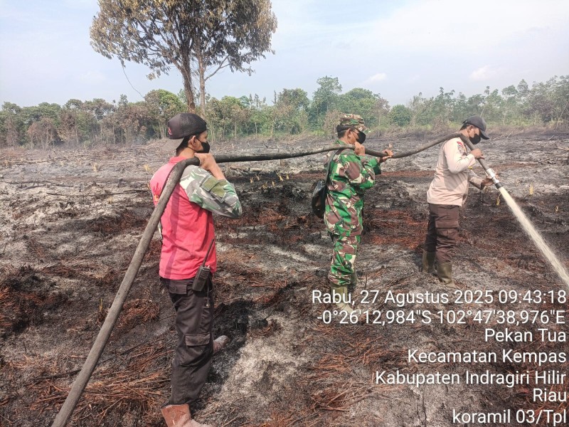 Babinsa Koramil 03/Tempuling Bergerak Cepat, Padamkan Karhutla di Desa Harapan Jaya