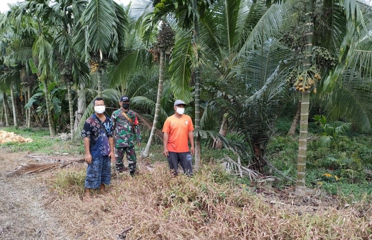 Pelda Zulfahmi Tetap Laksanakan Patroli Rutin Di Wilayah Binaan Bersama Petani Kelapa