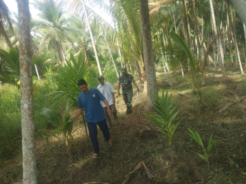 Cegah Kebakaran Hutan dan Lahan Oleh Babinsa Koramil 07/Reteh