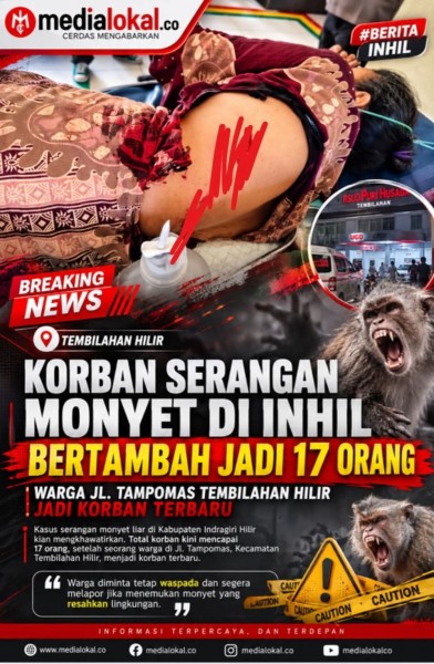 BREAKING NEWS: Korban Serangan Monyet di Tembilahan Bertambah Jadi 17 Orang, Warga Jl. Tampomas Jadi Korban Terbaru