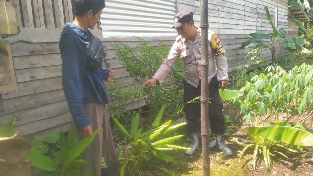 Bhabinkamtibmas Dan Cabai: Bripka Aan Wahyudi, Kami Jaga Desa, Kami Juga Rawat Dapur Warga