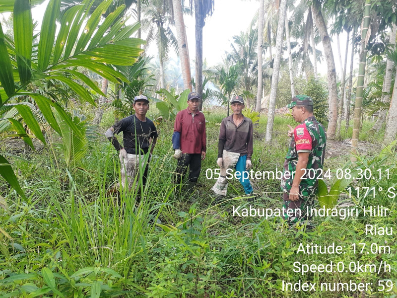 Babinsa Koramil 07/Reteh Turun Untuk Pantau Lahan dan Hutan Guna Cegah Kebakaran