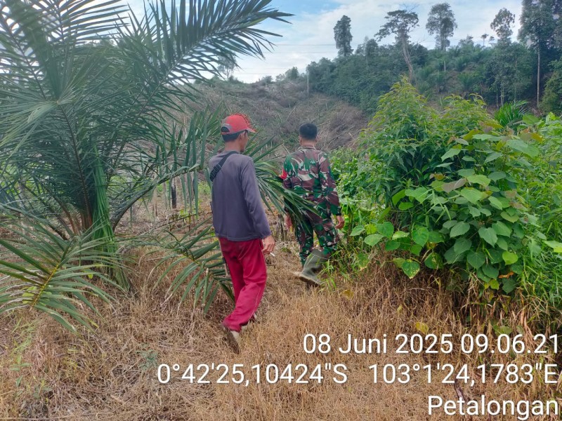 Babinsa Koramil 09/Kemuning Laksanakan Patroli dan Sosialisasi Karhutla di Desa Petalongan