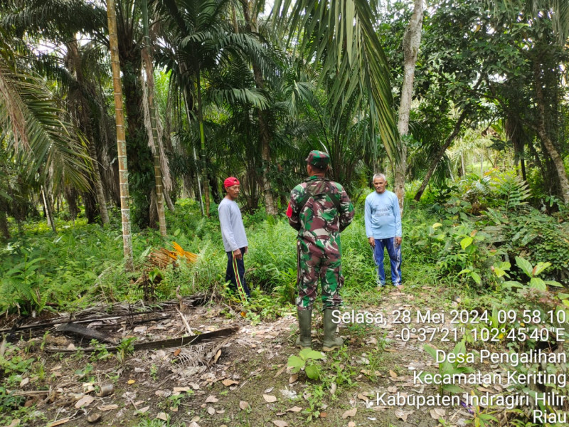 Babinsa Serda Darmadi Turun Untuk Patroli Karhutla