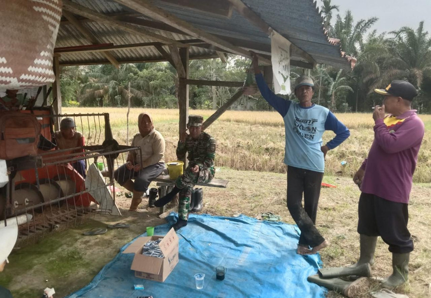 Komsos Danramil 03/Tpl Kepada Petani, Guna Sukseskan Hanpangan