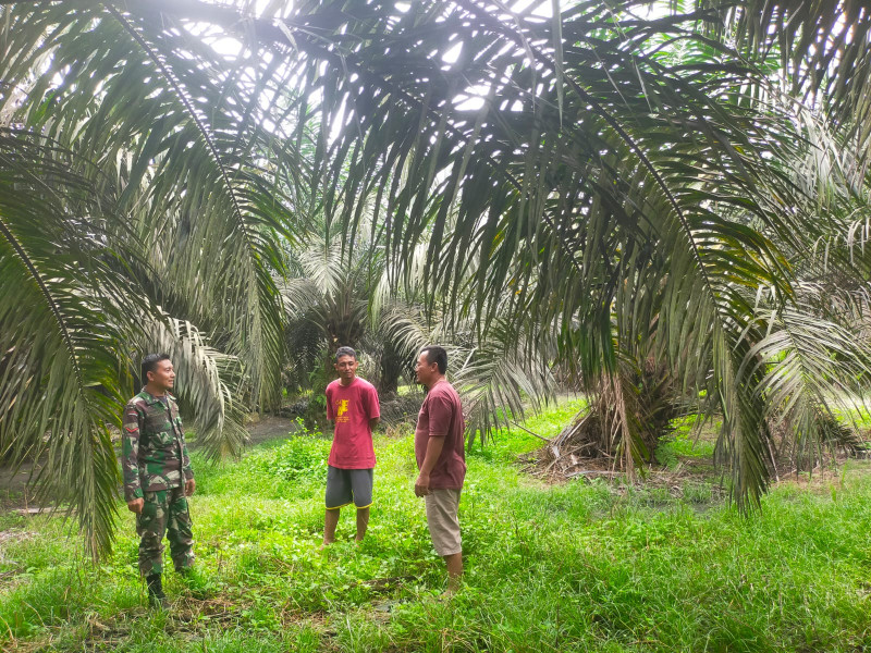 Babinsa Koramil 09/Kmg Cegah Kebakaran Melalui Patroli Rutin Karhutla