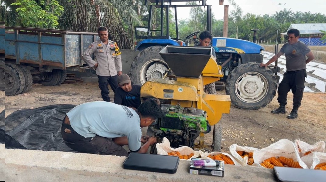 Polsek Koto Gasib Laksanakan kegiatan pemipilan jagung