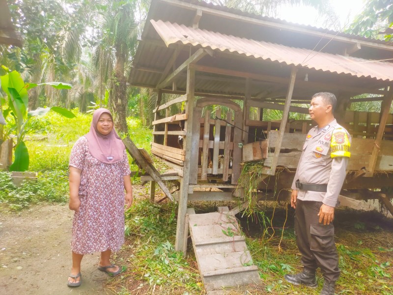 Dari Sawah ke Kandang, Polsek Keritang Komitmen Jaga Lumbung Protein Nasional