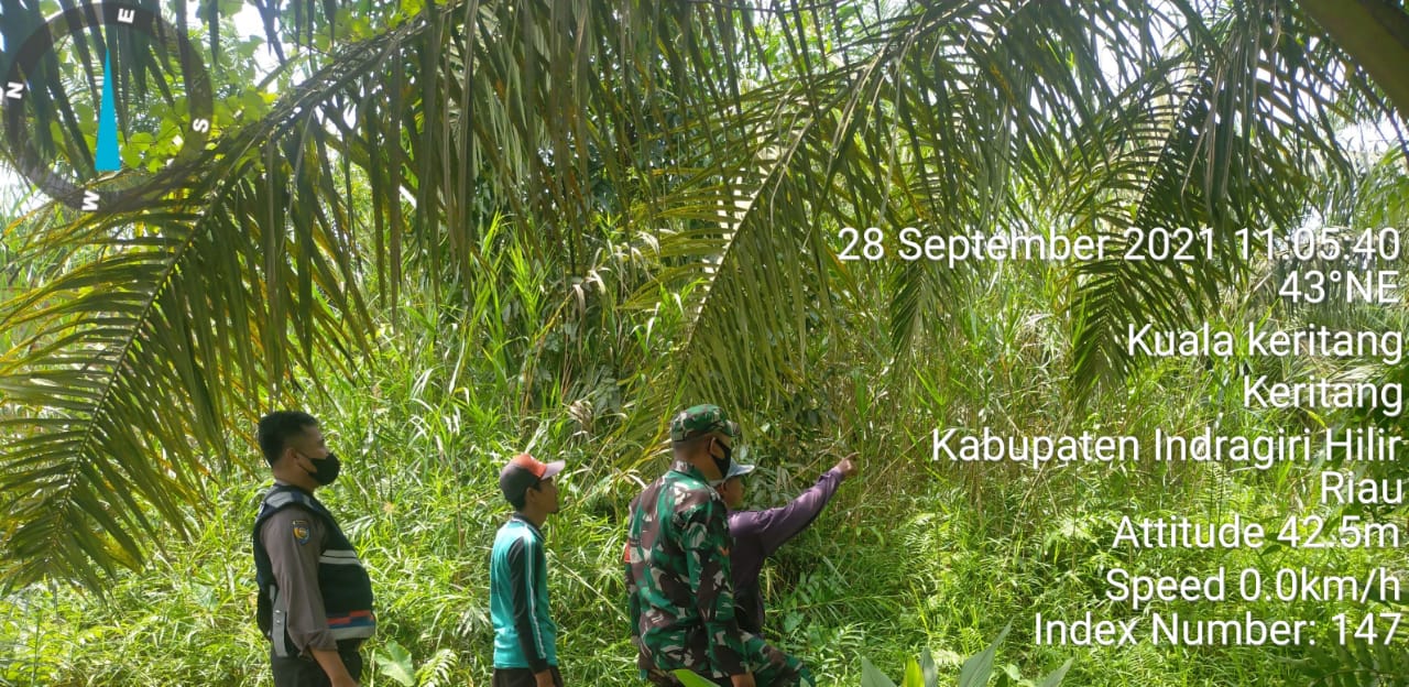 Lakukan Patroli Karhutla di Desa Kuala Keritang, Ini Pesan Kopda Nasriyanto