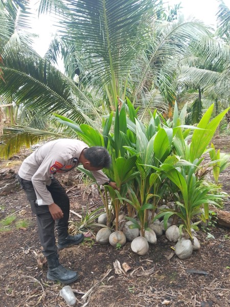 Dukung Ketahanan Pangan Nasional, Bhabinkamtibmas Polsek Gaung Cek Lahan Pertanian Milik Warga Desa Pungkat