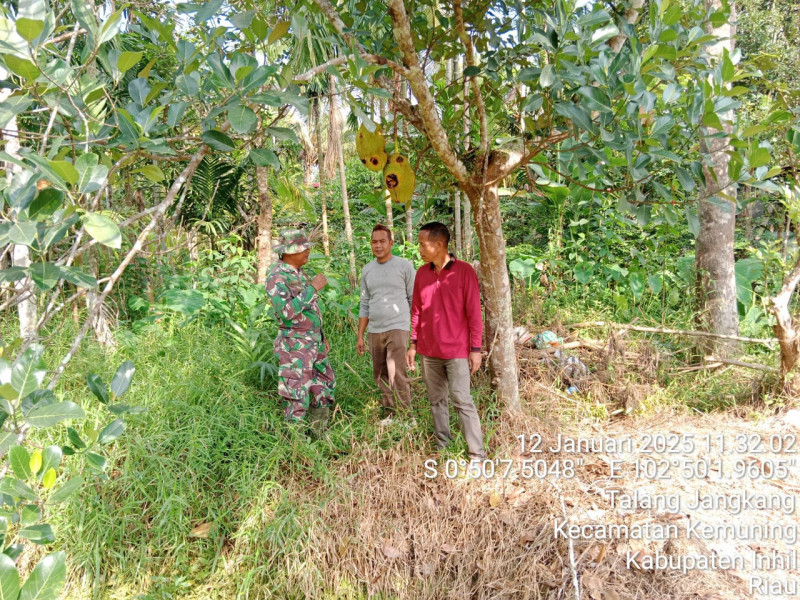 Babinsa Koramil 09/Kemuning Bersama Masyarakat Kawal Hutan Kemuning