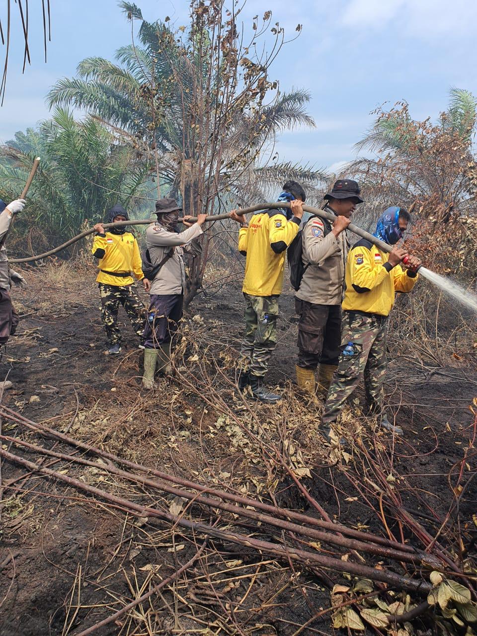 Api Membara di Lahan Gambut Rupat, Relawan Pemadam Karhutla Diluncurkan Ke Lokasi 