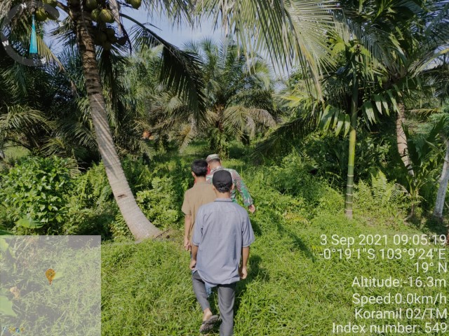 Cegah Karhutla, Personil Koramil 02/Tanah Lakukan Patroli di Parit Masran