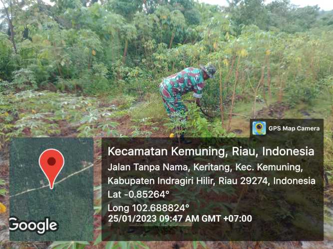 Koramil 09/Kemuning Selalu Upayakan Percepatan dan Perkembangan Gulma