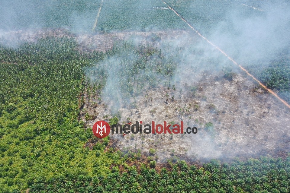 Diduga Berasal Dari Lahan PT. CPK, Kebakaran di Perbatasan Gaung-GAS Hanguskan Kebun Warga