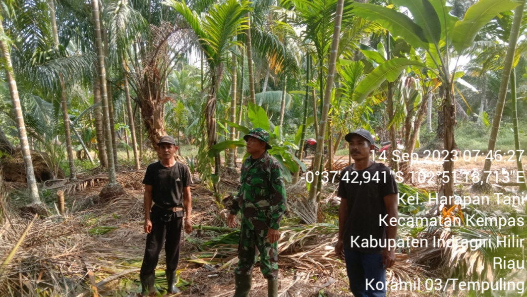 Rutinitas Setiap Hari, Babinsa 03/Tpl Sertu Maihasan Laksanakan Patroli Bersama Warga