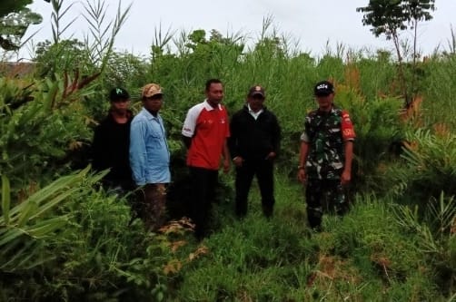 Bersama MPA, Babinsa Koramil 03/Tpl Sertu Ichlas Manalu Lakukan Patroli Karlahut di Desa Binaan