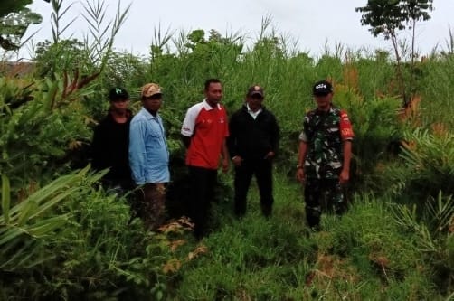 Bersama MPA, Babinsa Koramil 03/Tpl Sertu Ichlas Manalu Lakukan Patroli Karlahut di Desa Binaan