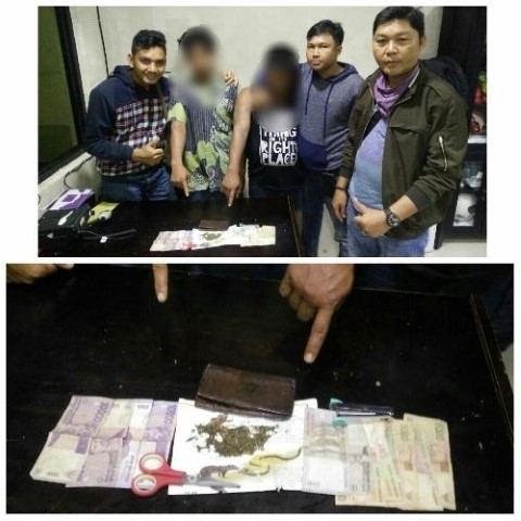 Pembeli dan Penjual Ganja Kering di Rohil ini Berhasil Diciduk Aparat 