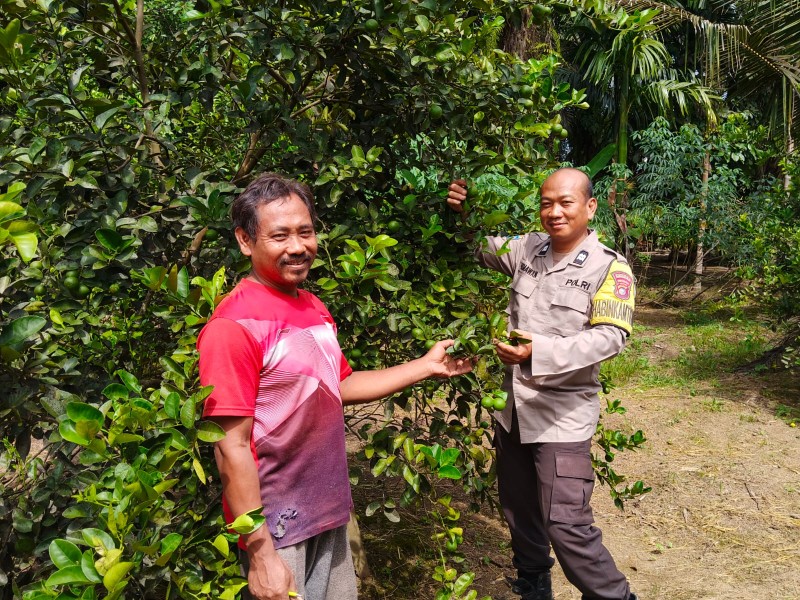 Dari Pekarangan untuk Ketahanan Pangan, Polsek Kemuning Aktif Dampingi Warga Kelola Lahan Produktif