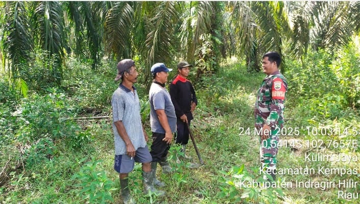 Babinsa Kopda Jalaludin Laksanakan Patroli dan Sosialisasi Karlahut untuk Cegah Kebakaran Hutan